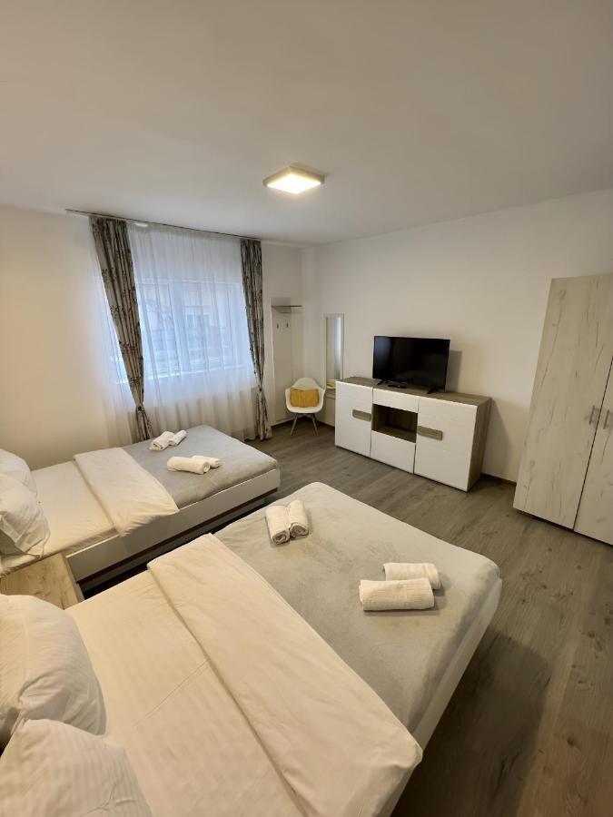 Salt Mine Retreat - Free Parking Apartment Turda
