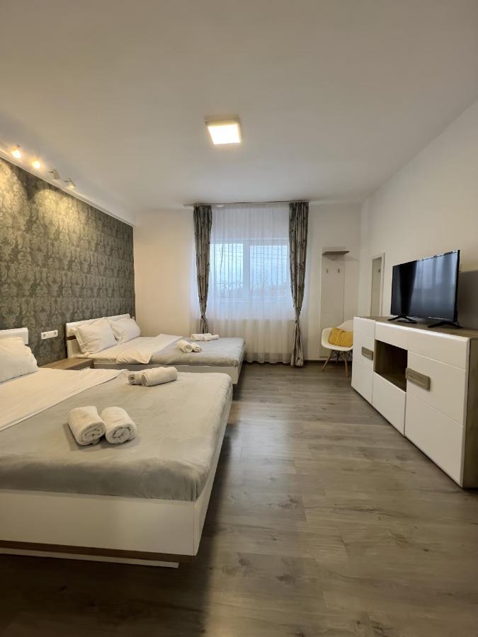 Salt Mine Retreat - Free Parking Apartment Turda